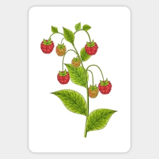 Raspberry Art Magnet